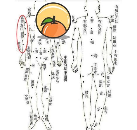 手臂上有痣|史上最全的手臂痣相圖文詳解